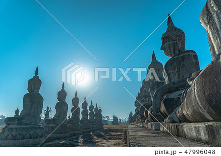 a lot of big Buddha statues in blue sky a lot of big Buddha statues in blue sky 47996048