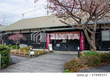 伊豆稲取文化公園の雛の館 47996357