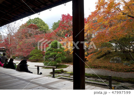 【京都府】南禅寺　天授庵の紅葉 47997599