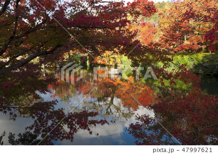 【京都府】永観堂の紅葉 【京都府】永観堂の紅葉 47997621