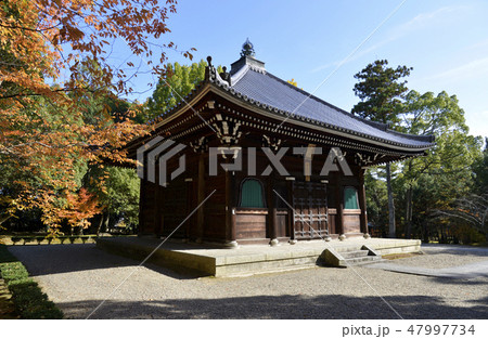 秋の仁和寺　経堂 47997734