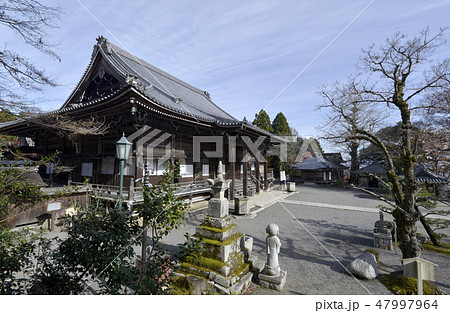 西教寺　本堂 47997964