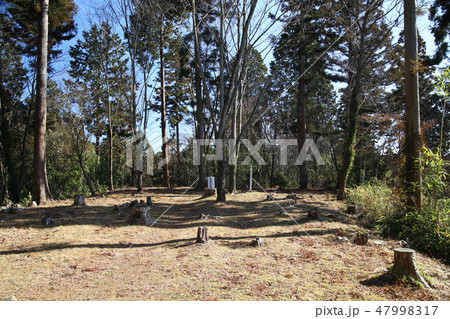 明知城跡 47998317