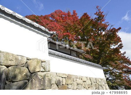 秋の善峯寺 秋の善峯寺 47998695