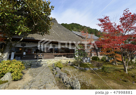 秋の禅定寺　本堂 47998881