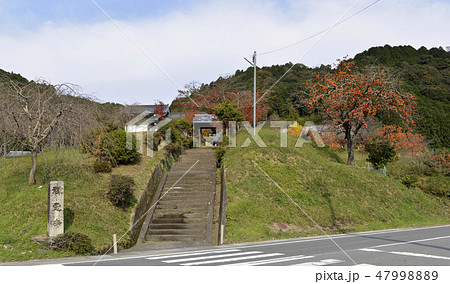 秋の禅定寺 宇治田原 秋の禅定寺 宇治田原 47998889