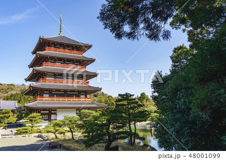 蓮華院誕生寺 五重御堂 48001099