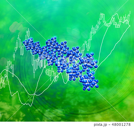 分子構造の開発と株式投資 分子構造の開発と株式投資 48001278