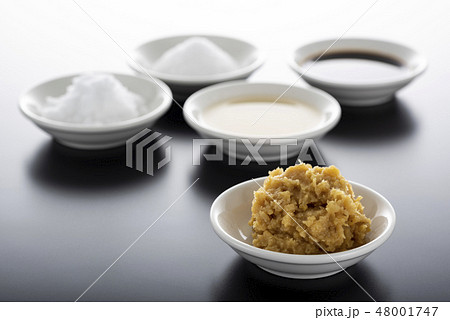 調味料 味噌 調味料 味噌 48001747