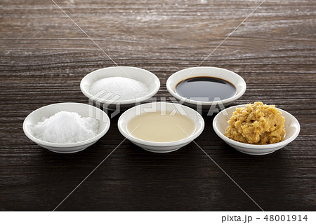 調味料のさしすせそ 48001914