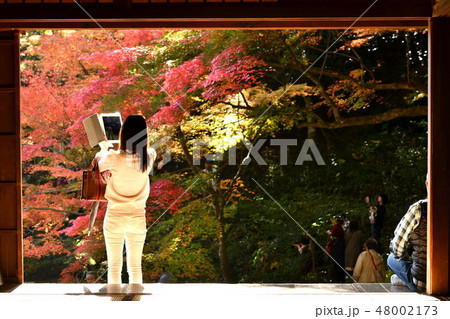 広島県安芸太田町の吉水園の紅葉 広島県安芸太田町の吉水園の紅葉 48002173