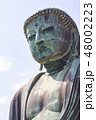 大仏 48002223