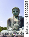 大仏 48002225