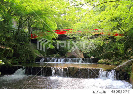 岩屋堂公園　鳥原川 48002577