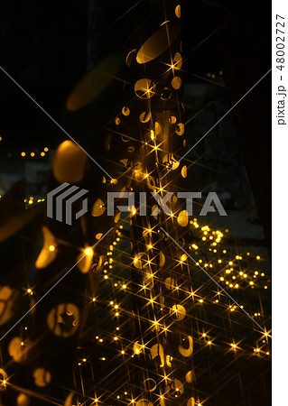 広島県福山城のあかり祭り 48002727