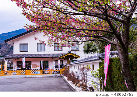 （静岡県）土肥金山 48002765