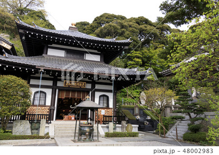 長谷寺 48002983