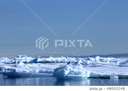 氷の世界 氷の世界 48003248