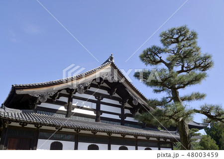 東福寺 禅堂 東福寺 禅堂 48003459