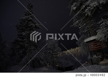 フィンランド・サーリセルカの森の中 フィンランド・サーリセルカの森の中 48003492