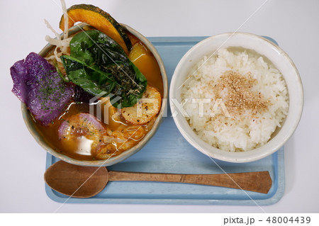 スープカレー スープカレー 48004439