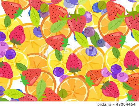 フェルト　フルーツ　コラージュ 48004464