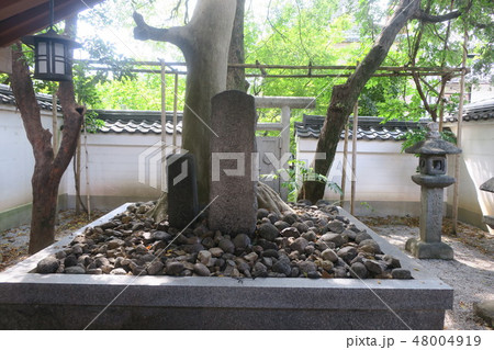 崇徳天皇御廟-京都市東山区祇園- 48004919