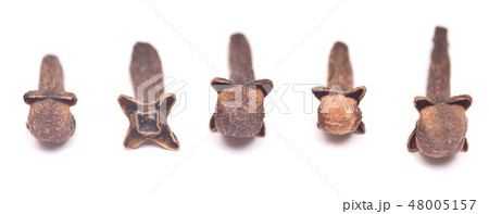 clove clove 48005157