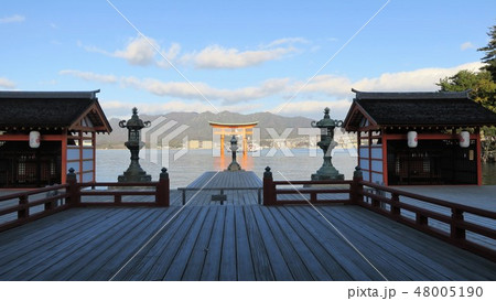 厳島神社 神社から見た鳥居-広島県廿日市市宮島- 厳島神社 神社から見た鳥居-広島県廿日市市宮島- 48005190