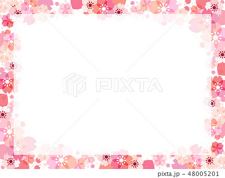 桜の花のイラストの背景 桜の花のイラストの背景 48005201