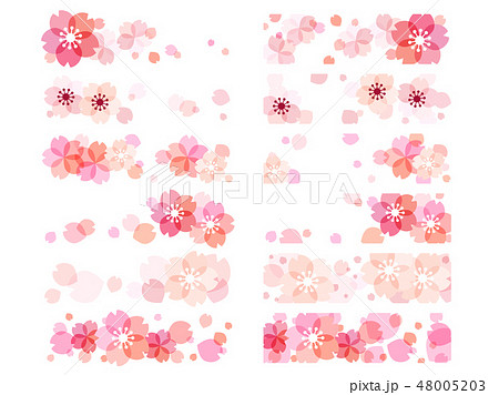 桜の花のイラストの背景 桜の花のイラストの背景 48005203
