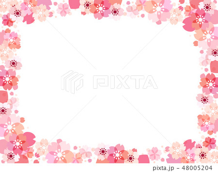 桜の花のイラストの背景 桜の花のイラストの背景 48005204