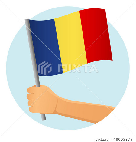 Chad flag in hand 48005375