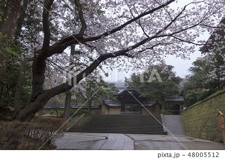 円覚寺 48005512