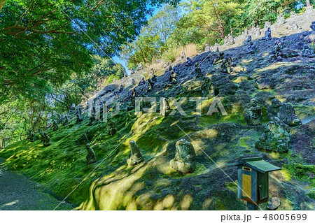 霊巌洞 五百羅漢 48005699