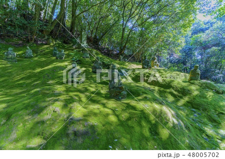 霊巌洞 五百羅漢 48005702