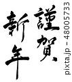年賀　祝詞　筆文字　デザイン毛筆　謹賀新年　縦書き　行書 48005733