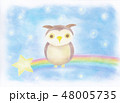 パステル　流れ星ふくろう　イラスト 48005735