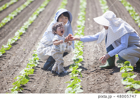 三世代 農家 三世代 農家 48005747