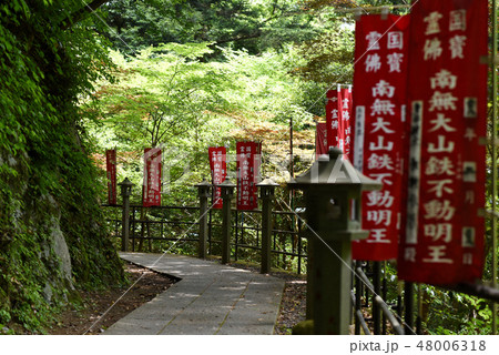 大山寺　新緑　 48006318