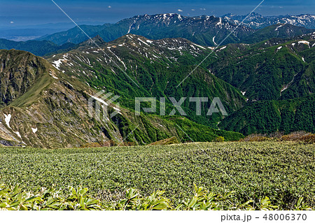 谷川連峰・茂倉岳から見る武能岳と巻機山 谷川連峰・茂倉岳から見る武能岳と巻機山 48006370