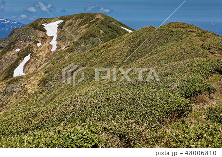 初夏の上越国境・茂倉岳 48006810