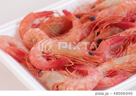 ブト海老 48006940