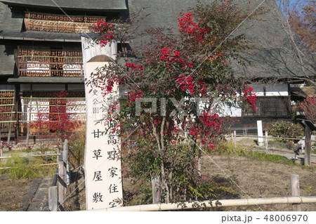 晩秋の甘草屋敷 晩秋の甘草屋敷 48006970