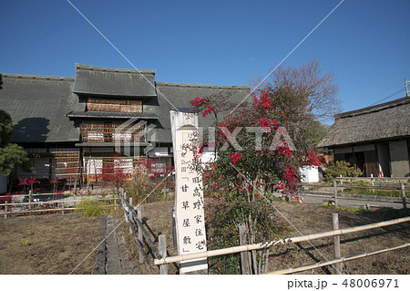 晩秋の甘草屋敷 晩秋の甘草屋敷 48006971
