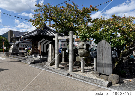 当麻寺 参道 当麻寺 参道 48007459