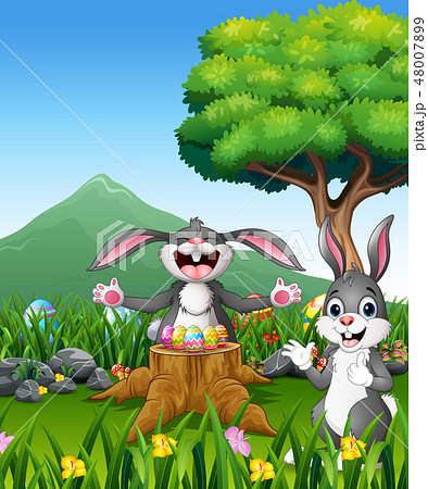 Happy easter rabbit on the beautiful garden Happy easter rabbit on the beautiful garden 48007899