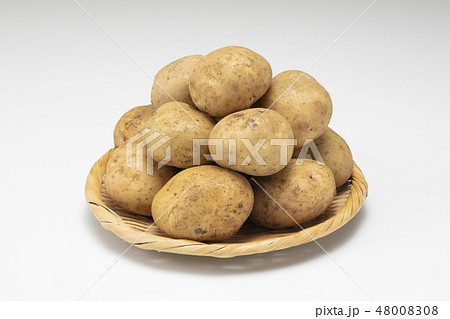 新じゃが 48008308