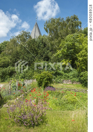 Herb and flower garden in Altenkrempe Herb and flower garden in Altenkrempe 48008918