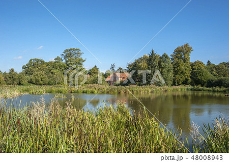 Landscape near Gut Gueldenstein in Harmsdorf 48008943